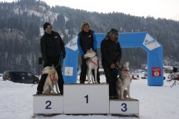 Lenk 2012 SM